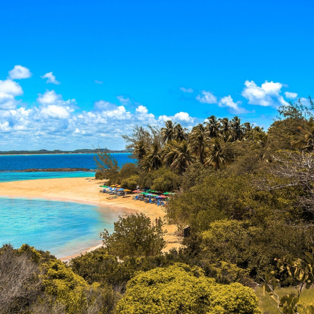 Ilha de Santo Aleixo